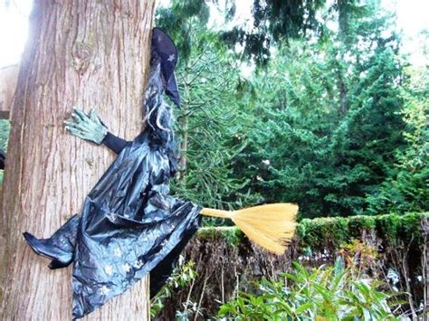 Witch's Flight Gone Awry: Broomstick Ends Up in a Tree